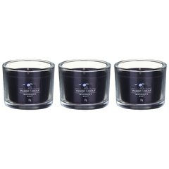 Yankee Candle набор ароматических свечей Ночь Midsummer`s Night, 3 шт. цена и информация | Подсвечники, свечи | pigu.lt