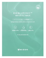 Увлажняющая маска для лица с гиалуроновой кислотой Mizon Cicaluronic, 24 г цена и информация | Маски для лица, патчи для глаз | pigu.lt