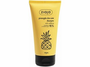 Šampūnas Ziaja Ananas 160 ml kaina ir informacija | Šampūnai | pigu.lt