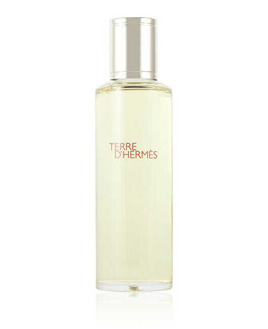 Tualetinis vanduo Hermès Terre D'hermes EDT vyrams, 125ml kaina ir informacija | Kvepalai vyrams | pigu.lt