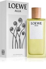 Loewe Agua EDT туалетная вода для женщин/мужчин 75 мл цена и информация | Женские духи | pigu.lt