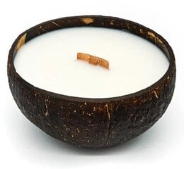 Kokoso žvakė Tropikalia kokoso kvapas kaina ir informacija | Žvakės, Žvakidės | pigu.lt