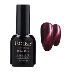 Гибридный лак Reney Cat Eye, кошачий глаз 005, 10 мл цена и информация | Reney Cosmetics Духи, косметика | pigu.lt