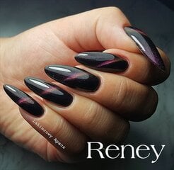 Гибридный лак Reney, Кошачий глаз 006, 10 мл цена и информация | Reney Cosmetics Духи, косметика | pigu.lt