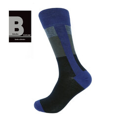Мужские классические носки Bisoks 12325 синие цена и информация | Мужские носки | pigu.lt