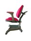 Ergonomiška vaikiška kėdė iStudy E03, rožinė kaina ir informacija | Biuro kėdės | pigu.lt