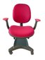 Ergonomiška vaikiška kėdė iStudy E03, rožinė kaina ir informacija | Biuro kėdės | pigu.lt