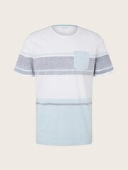 Мужская футболка Tom Tailor 1031573*10668, белая/серая. 4065308670047 цена и информация | Футболка мужская | pigu.lt