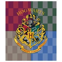 Harry Potter antklodė, 120x150 cm kaina ir informacija | Antklodės | pigu.lt