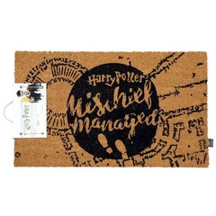 Harry Potter Mischief Managed kaina ir informacija | Žaidėjų atributika | pigu.lt