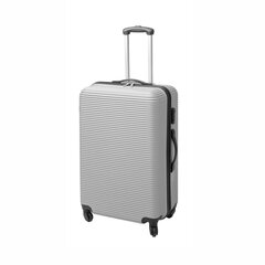 Kelioninis lagaminas Stripe Silver, 29x47x73 cm kaina ir informacija | Lagaminai, kelioniniai krepšiai | pigu.lt