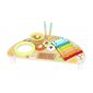 Daugiafunkcinis instrumentas - Tooky Toy kaina ir informacija | Žaislai kūdikiams | pigu.lt