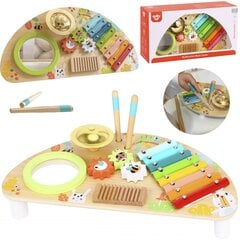 Многофункциональный инструмент - игрушка Tooky цена и информация | Игрушки для малышей | pigu.lt