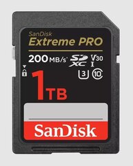 Карта памяти SanDisk SDXC 1TB UHS-I/SDSDXXD-1T00-GN4IN цена и информация | Карты памяти для телефонов | pigu.lt