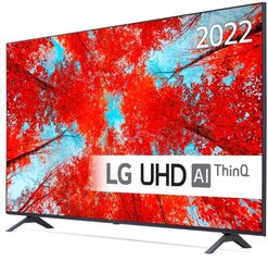 LG 55UQ90003LA цена и информация | Телевизоры | pigu.lt