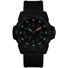 Мужские часы Luminox XS.3501.F цена и информация | Мужские часы | pigu.lt