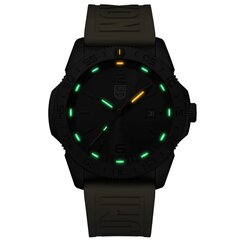 Мужские часы Luminox XS.3121.BO.GF цена и информация | Мужские часы | pigu.lt