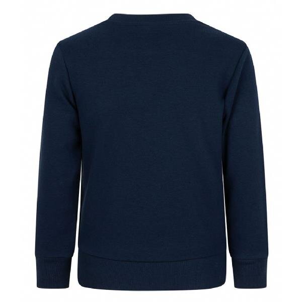 Džemperis champion crewneck sweatshirt 305951bs538 kaina ir informacija | Megztiniai, bluzonai, švarkai berniukams | pigu.lt