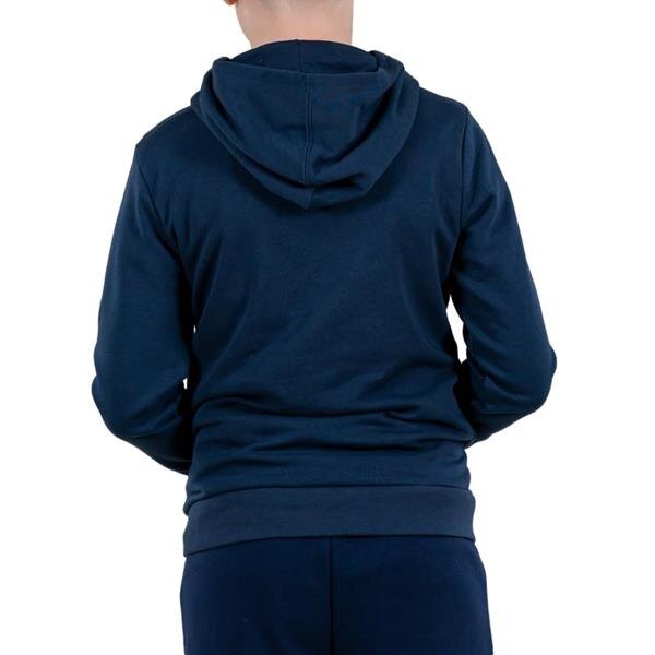 Džemperis champion legacy hooded sweatshirt 305975bs503 kaina ir informacija | Megztiniai, bluzonai, švarkai berniukams | pigu.lt