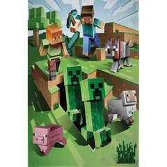 Vaikiškas pledas Minecraft, 100x150 cm kaina ir informacija | Lovatiesės ir pledai | pigu.lt