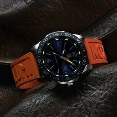 Часы мужские Luminox Pacific Diver XS.3123.RF XS.3123.RF цена и информация | Мужские часы | pigu.lt