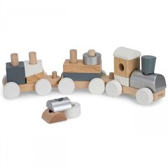 Medinis traukinukas su kaladėlėmis - Viga Toys kaina ir informacija | Lavinamieji žaislai | pigu.lt