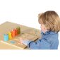 Medinis spalvų ir skaičių rūšiuoklis kaina ir informacija | Žaislai kūdikiams | pigu.lt