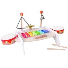 Muzikos instrumentų rinkinys vaikams kaina ir informacija | Lavinamieji žaislai | pigu.lt