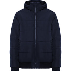 Мужская куртка SURGUT темно-синяя цена и информация | Мужские толстовки | pigu.lt