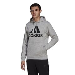 HOODIE ADIDAS PERFORMANCE M BL FL HD GK9577 цена и информация | Мужские толстовки | pigu.lt