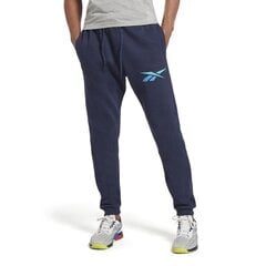 Sportinės kelnės vyrams Reebok ri logo jogger hr9156 цена и информация | Мужская спортивная одежда | pigu.lt