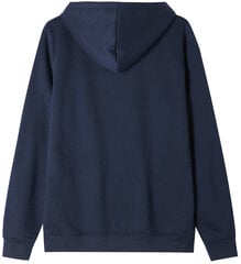 Мужской джемпер Glo Story Navy MPU 2466 MPU 2466/XL цена и информация | Мужские толстовки | pigu.lt