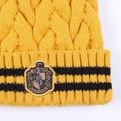 Žieminė kepurė vaikams Harry Potter Hufflepuff kaina ir informacija | Kepurės, pirštinės, šalikai berniukams | pigu.lt