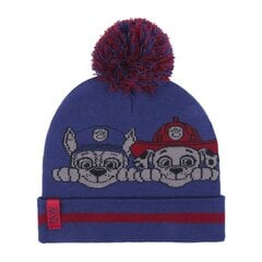 Зимняя шапка Щенячий патруль цена и информация | Шапки, перчатки, шарфы для мальчиков | pigu.lt