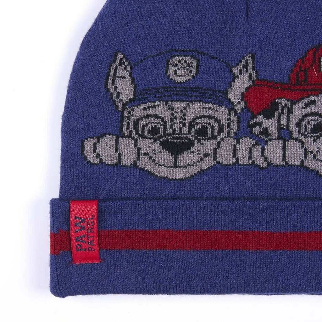 Žieminė kepurė vaikams Harry Potter Paw Patrol цена и информация | Kepurės, pirštinės, šalikai berniukams | pigu.lt