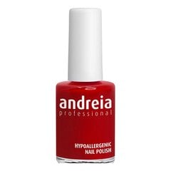 лак для ногтей Andreia Nº 10 (14 ml) цена и информация | Лаки, укрепители для ногтей | pigu.lt