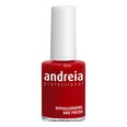 Nagų lakas Andreia Nº 10, 14 ml