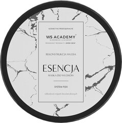 Маска для волос Ws Academy System Plex, 250 мл цена и информация | Средства для укрепления волос | pigu.lt