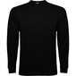 Marškinėliai vyrams Roly Pointer, juodi цена и информация | Vyriški marškinėliai | pigu.lt