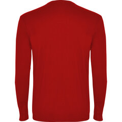 Marškinėliai vyrams Roly Pointer, raudoni kaina ir informacija | Vyriški marškinėliai | pigu.lt