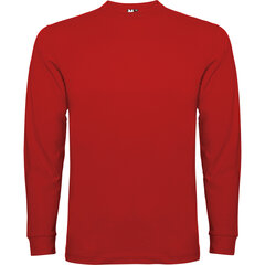 Marškinėliai vyrams Roly Pointer, raudoni kaina ir informacija | Vyriški marškinėliai | pigu.lt
