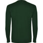 Marškinėliai Roly Pointer, žali kaina ir informacija | Vyriški marškinėliai | pigu.lt