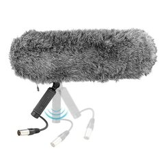 Boya BY-WS1000 цена и информация | Микрофоны | pigu.lt