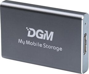 DGM My Mobile Storage MMS128SG цена и информация | Жёсткие диски (SSD, HDD) | pigu.lt