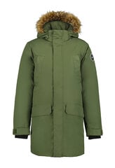 Куртка мужская Icepeak Alden, зеленая цена и информация | Мужские куртки | pigu.lt