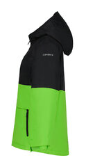 Зимняя куртка Icepeak для детей LEITH JR, зеленый/черный цвет цена и информация | Зимняя одежда для детей | pigu.lt
