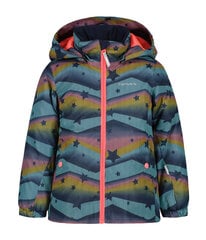 Icepeak žieminė striukė vaikams JAPERI KD, tamsiai mėlyna/įvairiaspalvė kaina ir informacija | Žiemos drabužiai vaikams | pigu.lt