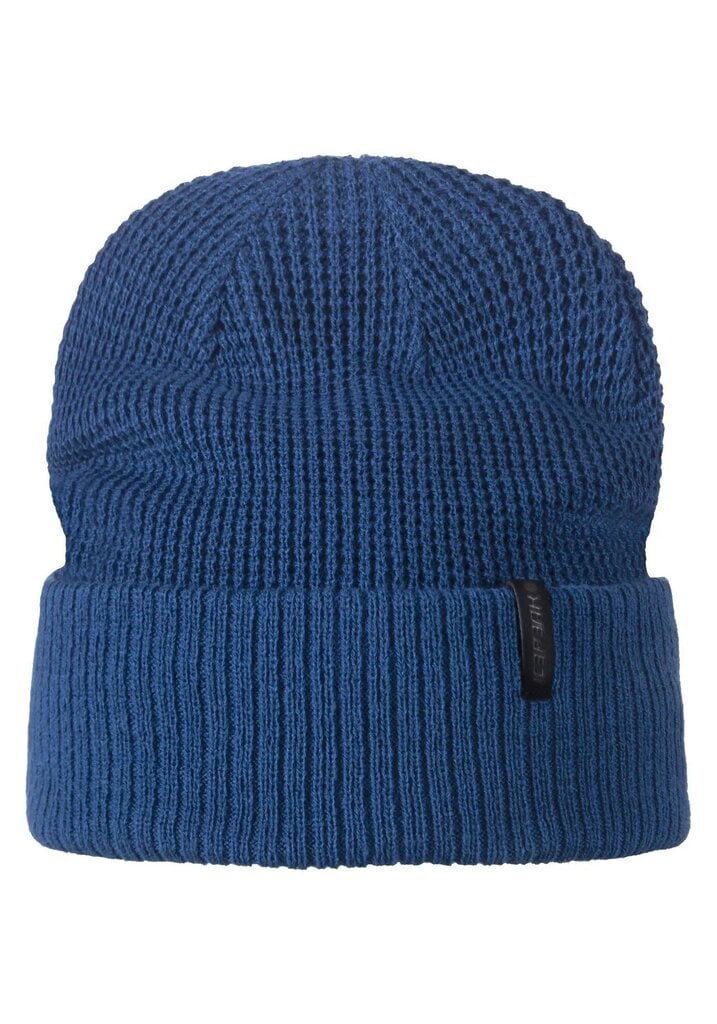 Icepeak kepurė vaikams Hesston, tamsiai mėlyna kaina ir informacija | Kepurės, pirštinės, šalikai berniukams | pigu.lt