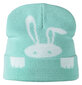 Icepeak žieminė kepurė vaikams HALVER JR, mėtinė kaina ir informacija | Žiemos drabužiai vaikams | pigu.lt