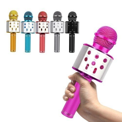 Karaoke mikrofonas su dėklu, rožinis цена и информация | Mikrofonai | pigu.lt